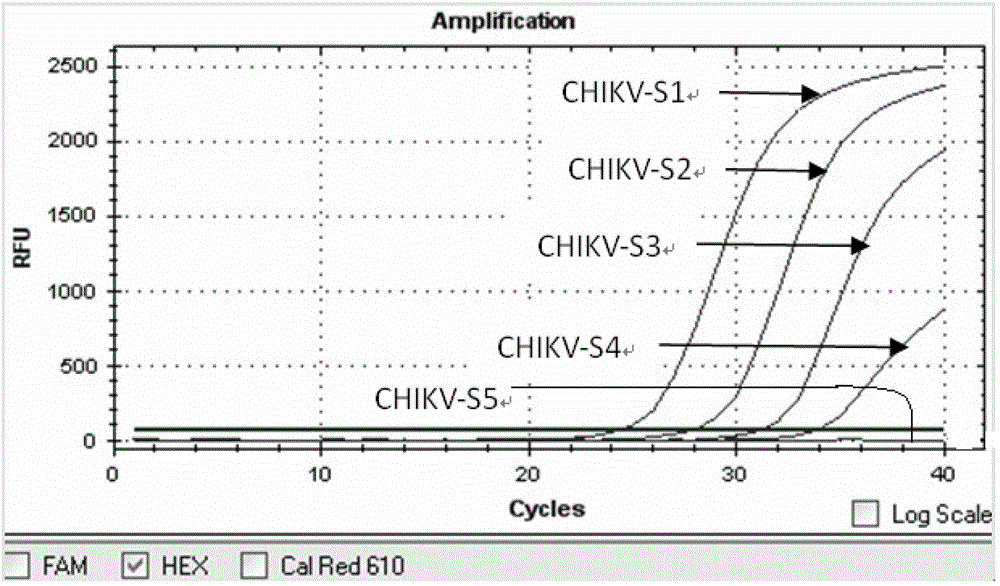 Multiplex-fluorescence PCR (Polymerase Chain Reaction) detection kit and application thereof