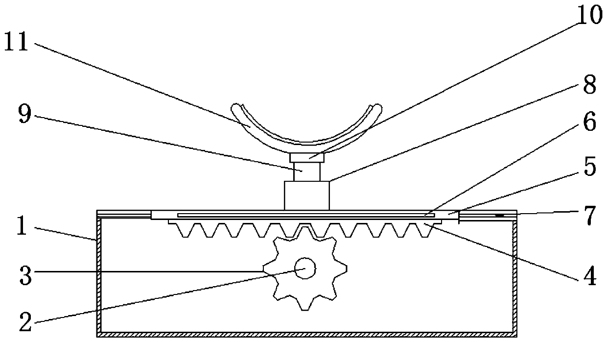 Jaw support structure