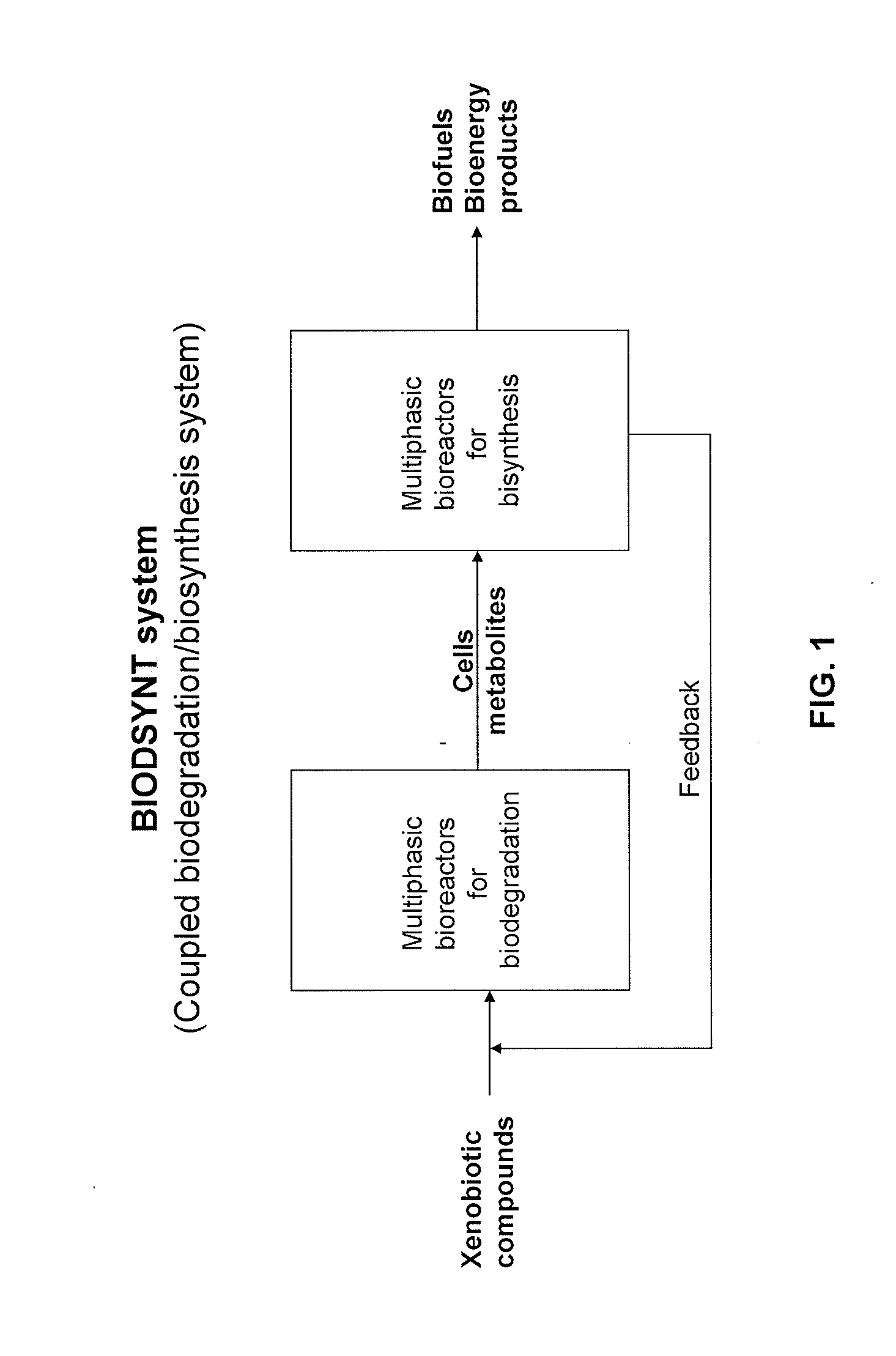 Methods and systems for producing biofuels and bioenergy products from xenobiotic compounds