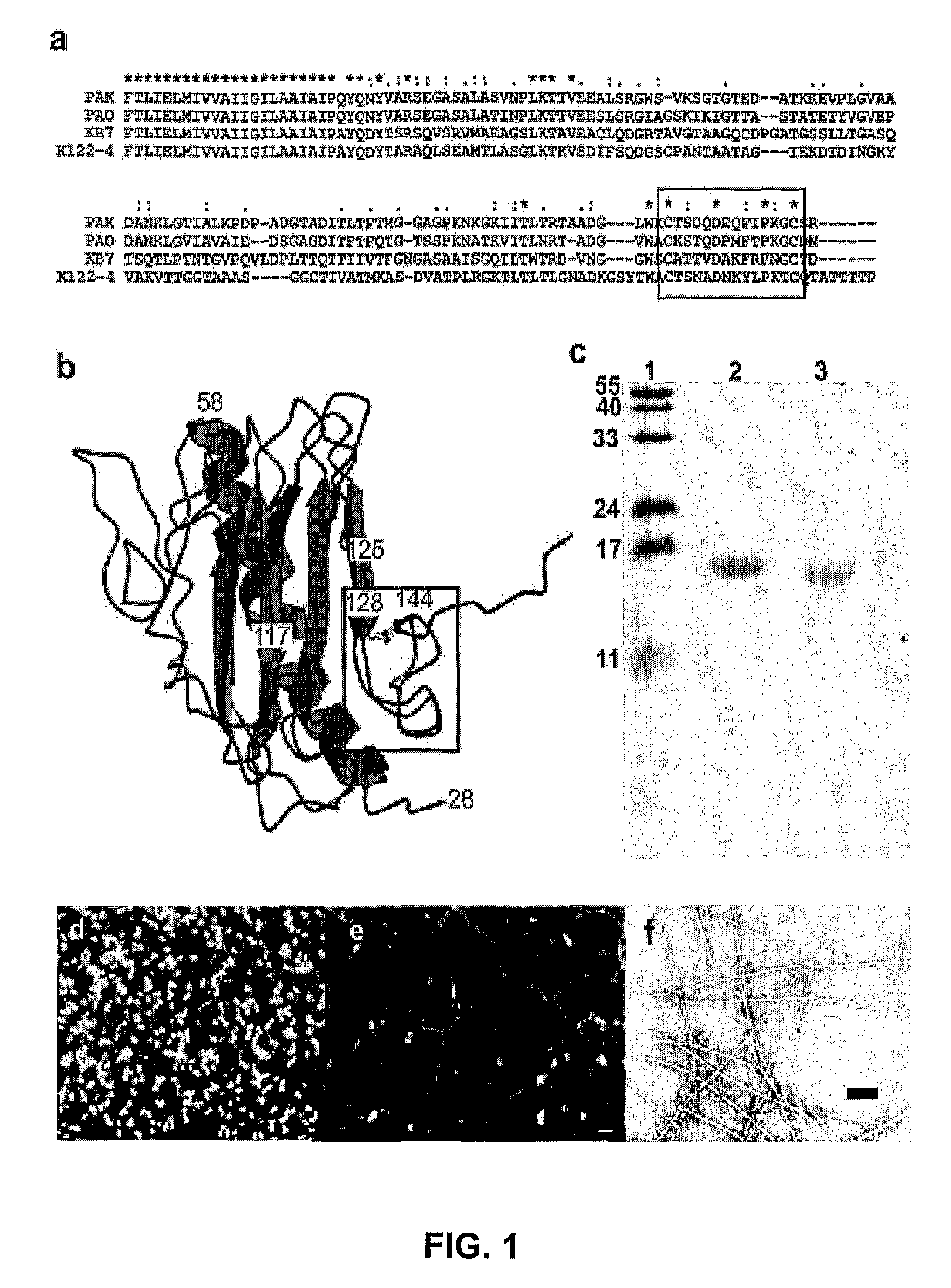 Non-toxic biofilm inhibitor