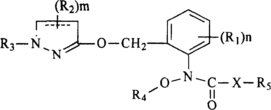 N-(2-substituted phenyl)-N-methoxy carbamate compounds and their preparation and use