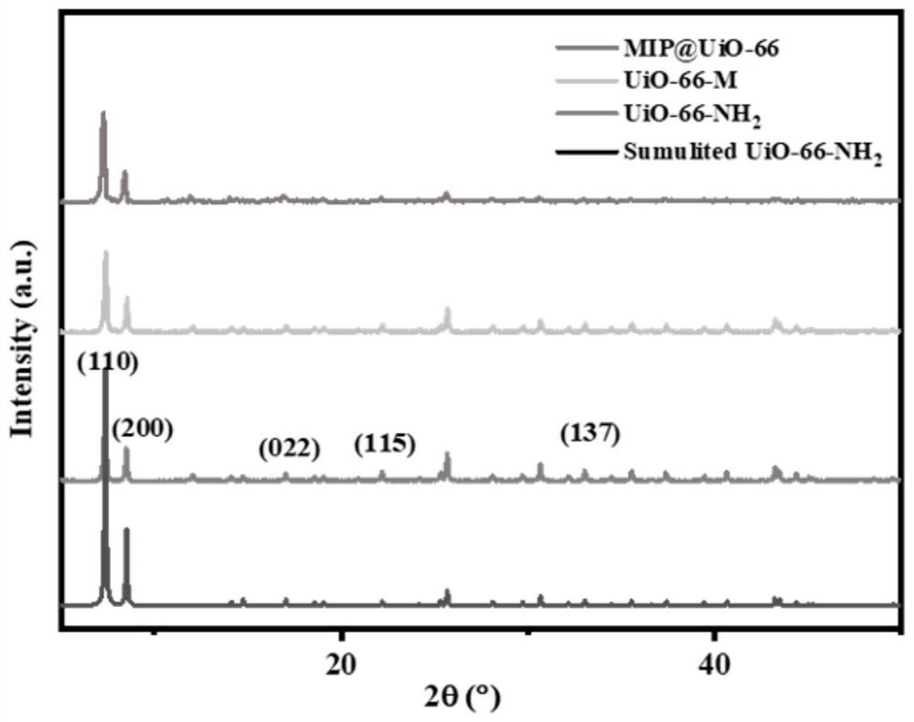 MOFs type molecularly imprinted polymer for detecting norfloxacin and preparation method thereof