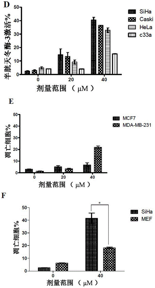 Pharmaceutical compositions of anisomelic acid and the use thereof