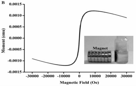 Preparation method and application of molecularly imprinted polymer-ferric oxide electrochemiluminescence sensor