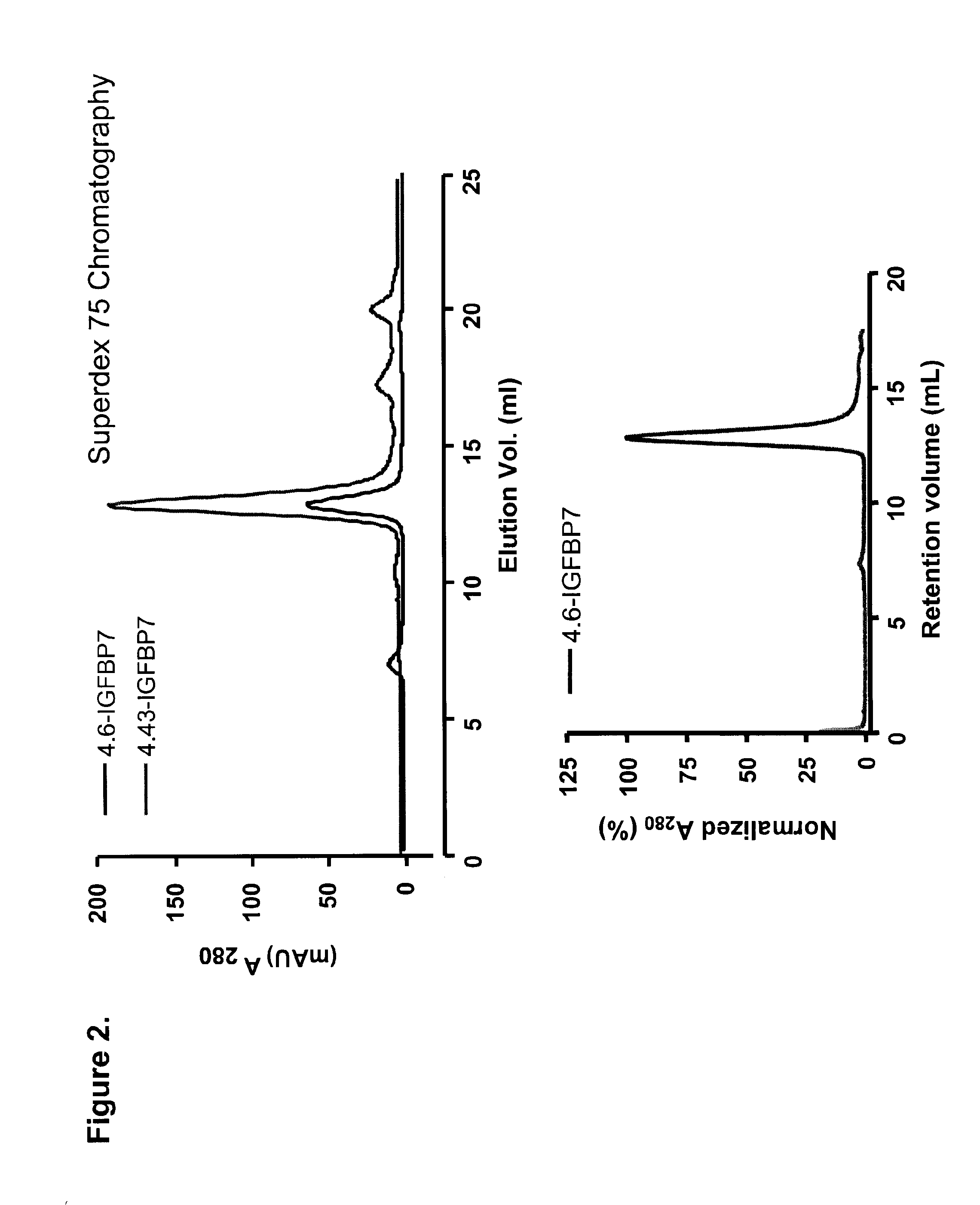 Formulations targeting IGFBP7 for diagnosis and therapy of cancer