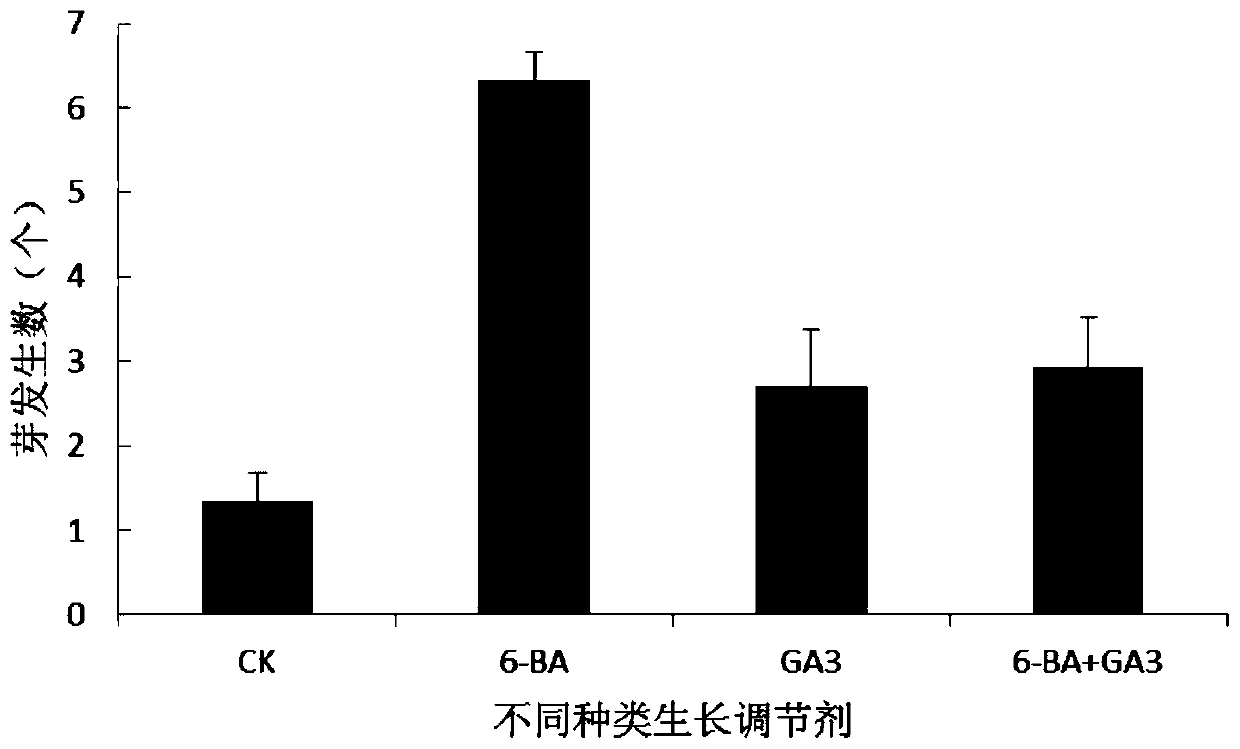 A kind of method for promoting side shoot development of oil peony seedlings