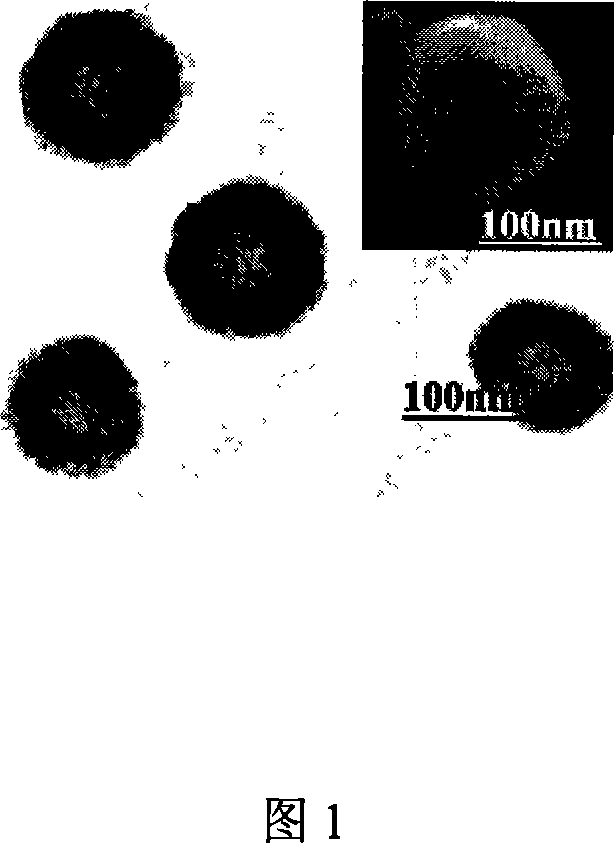 Hollow ball shaped nanometer hydroxylapatite material and the preparing method