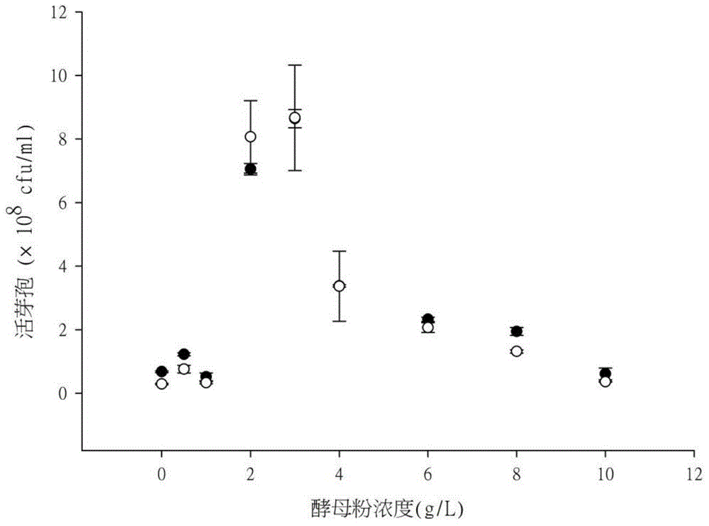 Living spore content high throughput detection method based on spectrophotometry method