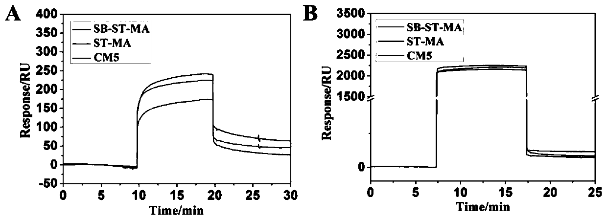 A preparation method of a two-ion starch-based stem cell expansion hydrogel and a method for expanding and collecting stem cells