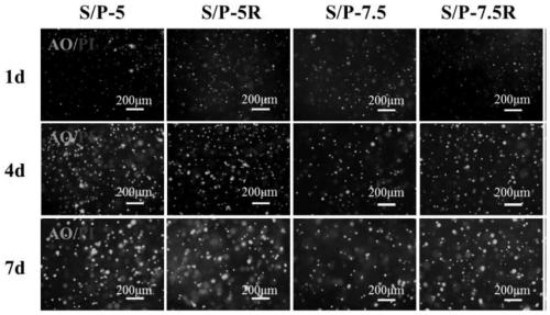 A preparation method of a two-ion starch-based stem cell expansion hydrogel and a method for expanding and collecting stem cells