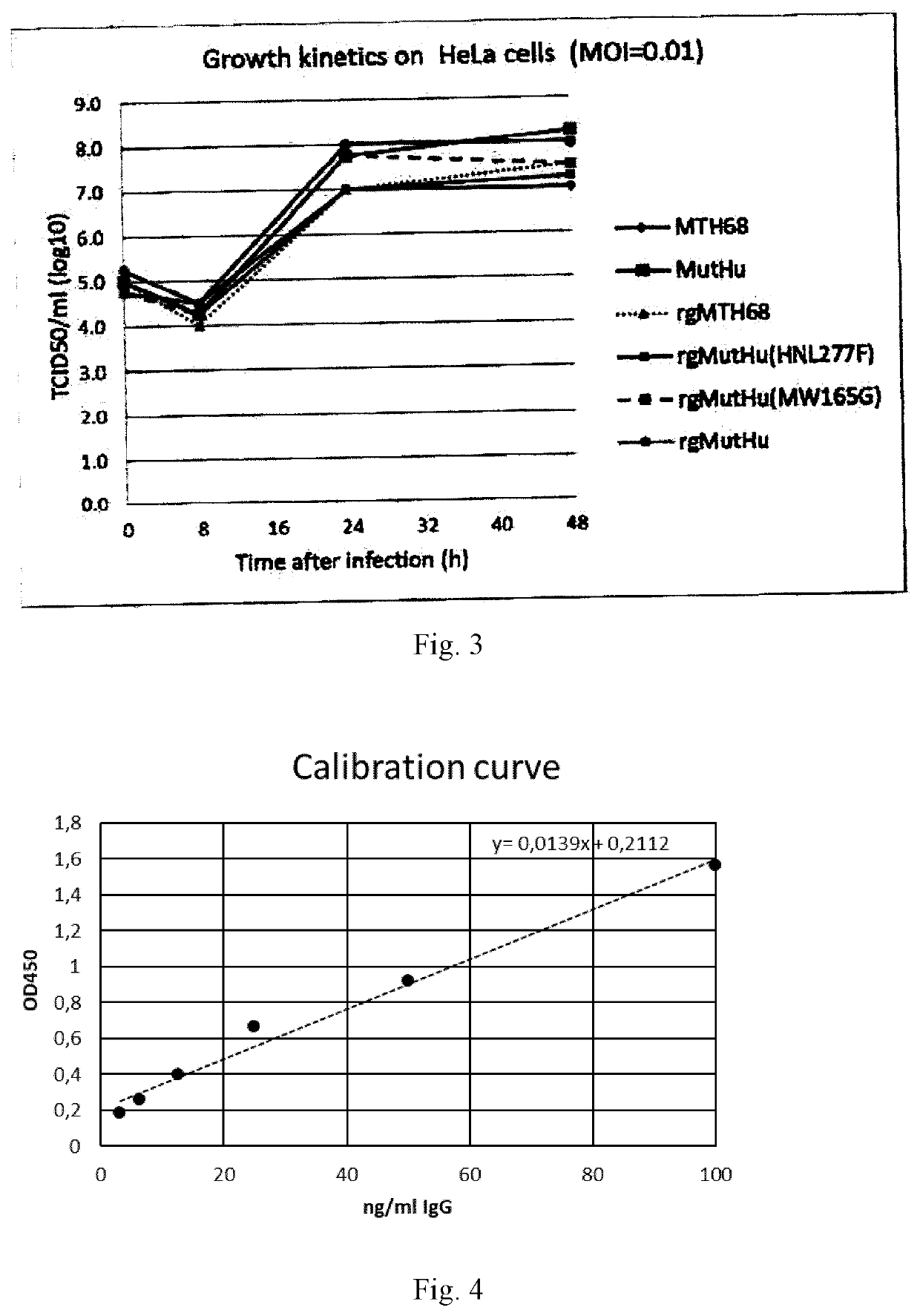 Recombinant oncolytic newcastle disease viruses with increased activity