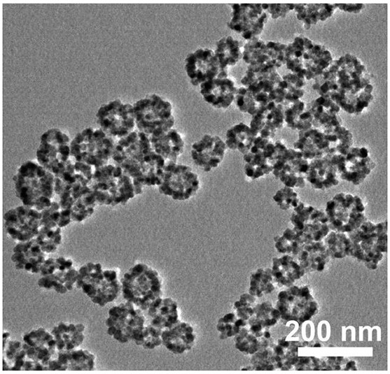 Preparation of romidepsin-loaded heterojunction nanoparticles with sonodynamic effect