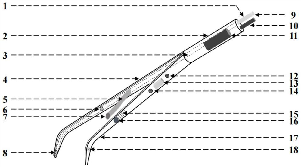 Composite surgical forceps with illumination, suction and clamping functions