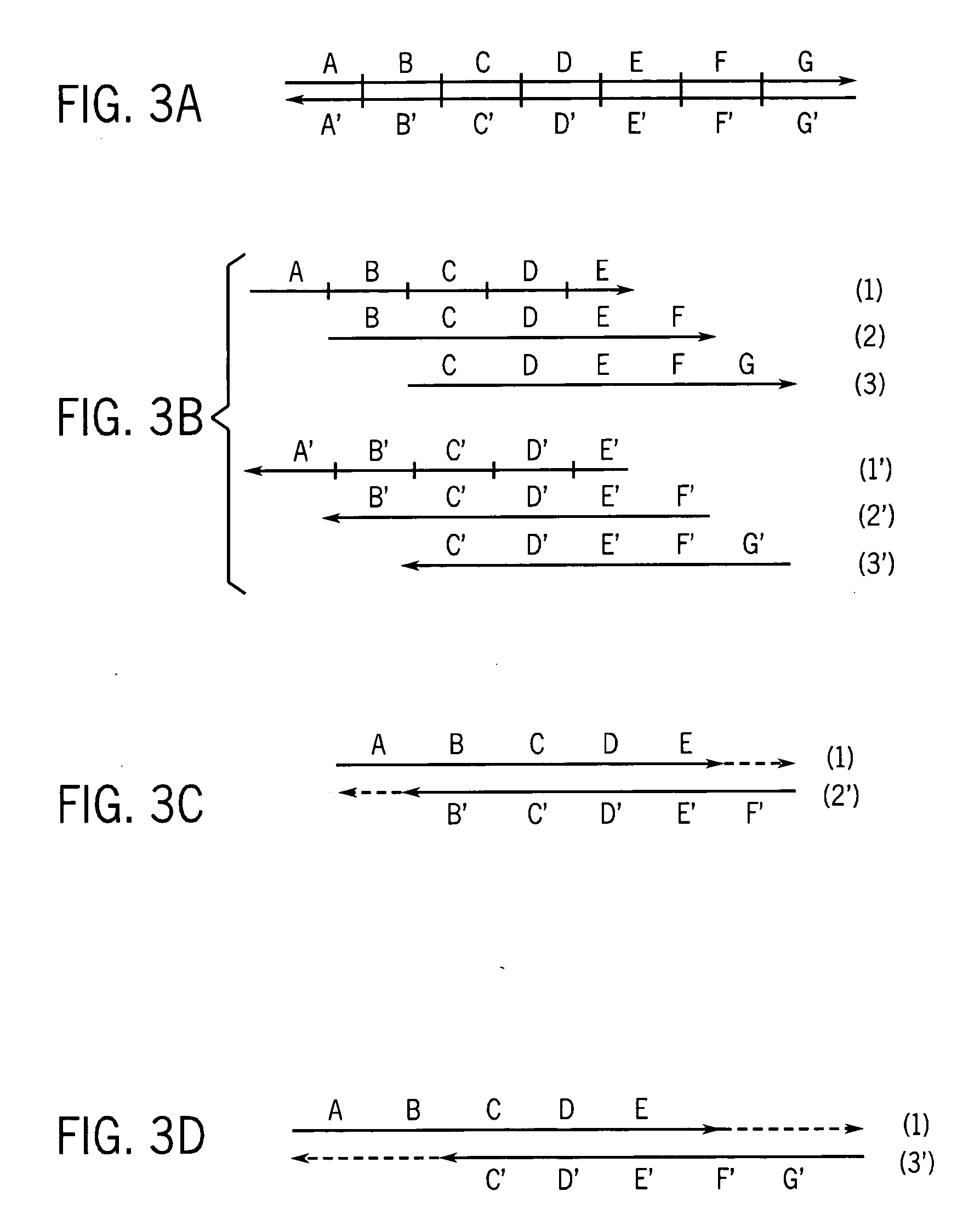 Methods for high fidelity production of long nucleic acid molecules