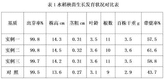 Special carbon-based seedling-raising substrate for rice and preparation method thereof