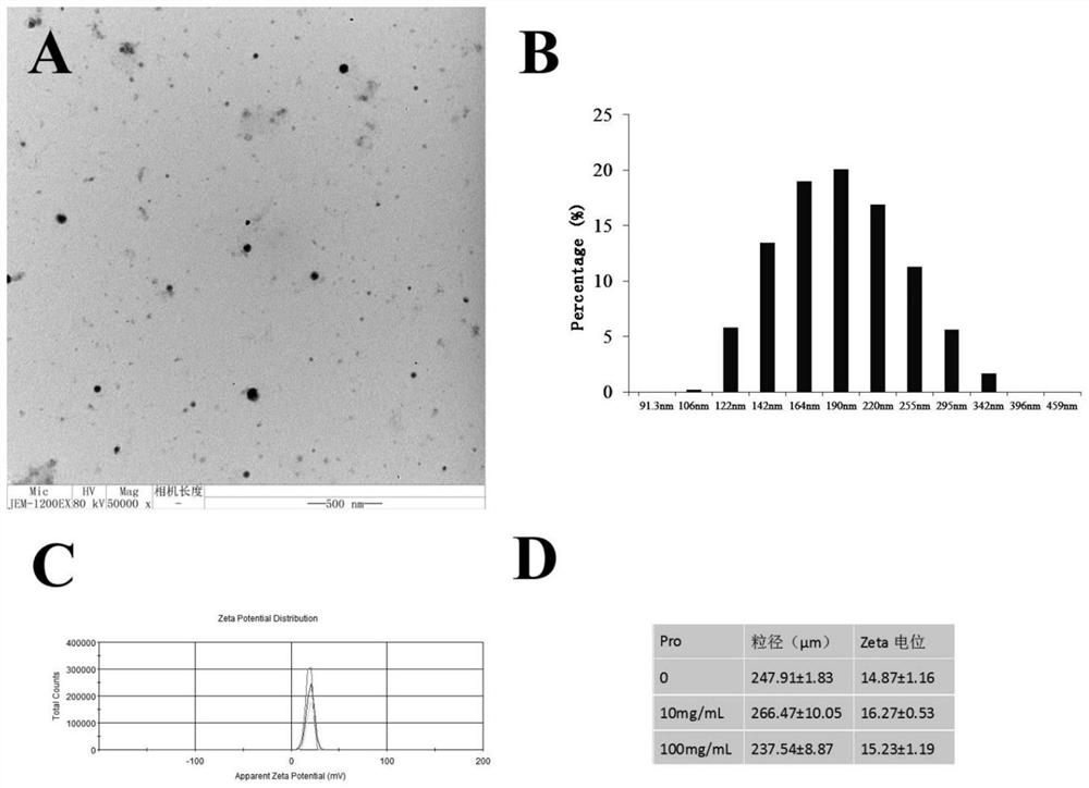 A kind of amino acid-chitosan nano drug loading system, its preparation method and application