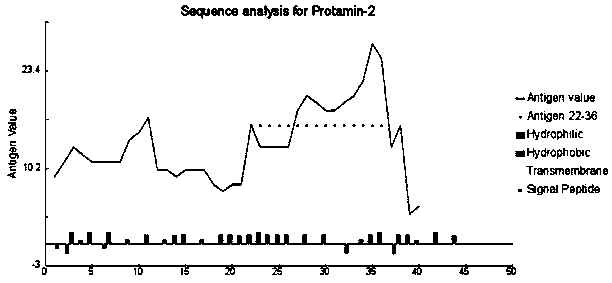 Preparation method for polyclonal antibody of specific recognition protein PRM2 and application of preparation method