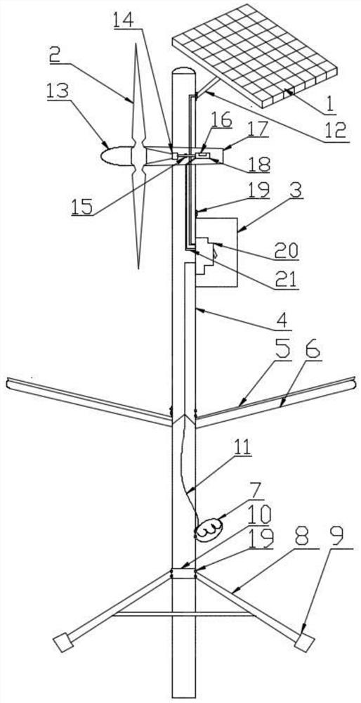 Device for performing energy-saving adjustment on illumination intensity of submerged plants in migrant bird area