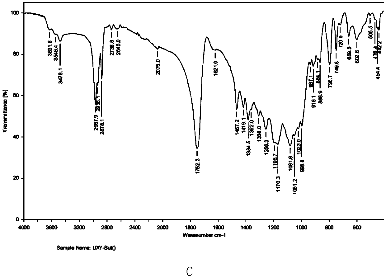 Application of xylan esterification product in preparation of drugs for preventing or treating inflammatory diseases and cancer