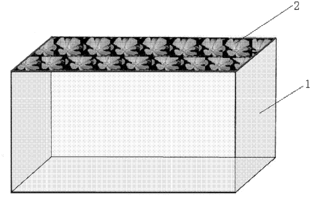 Method for controlling eutrophication of fish farming area in freshwater cage by floating plants