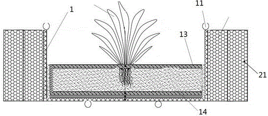Suspension-type submerged plant soilless ecological bed