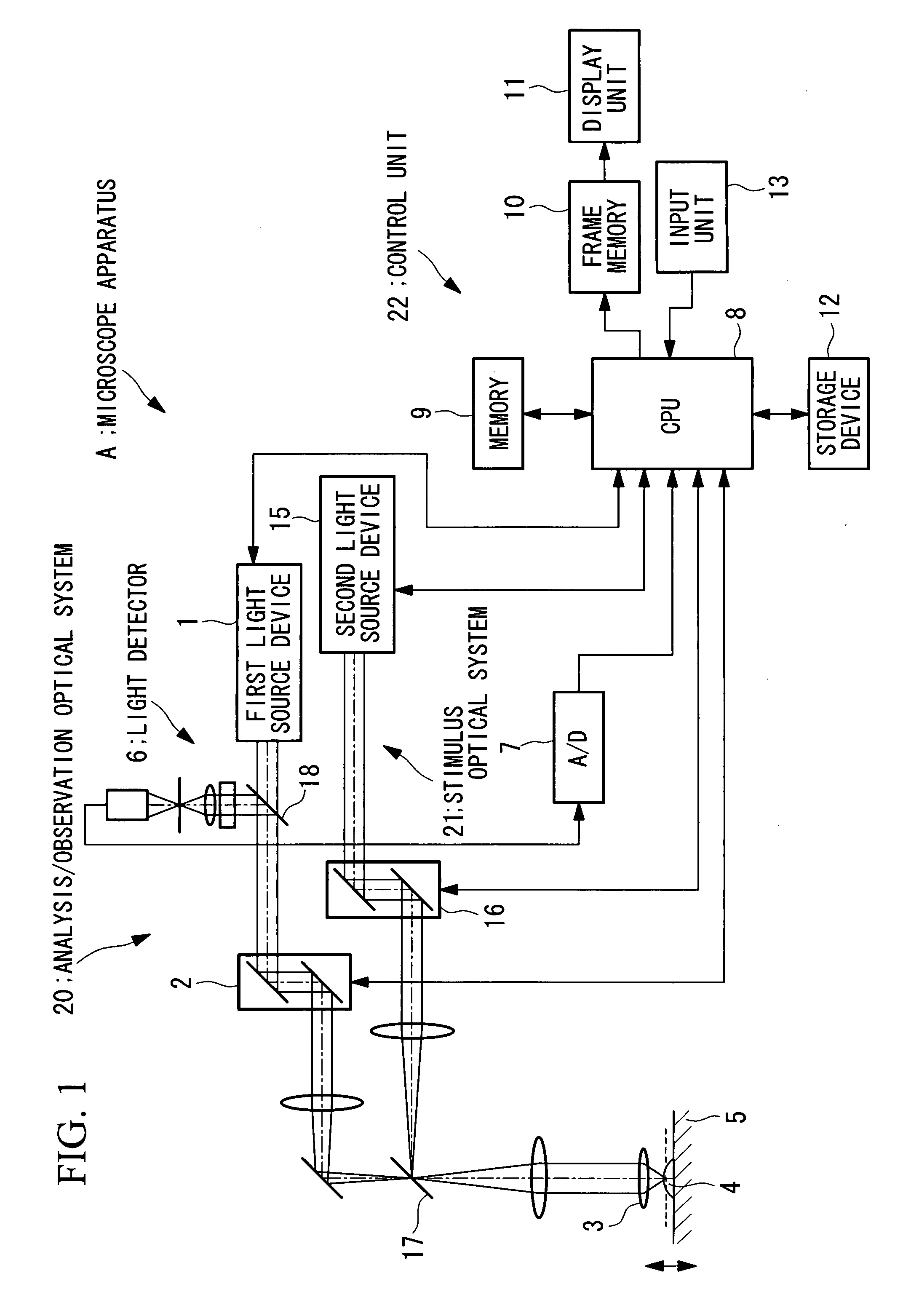 Microscope apparatus and cell observation method