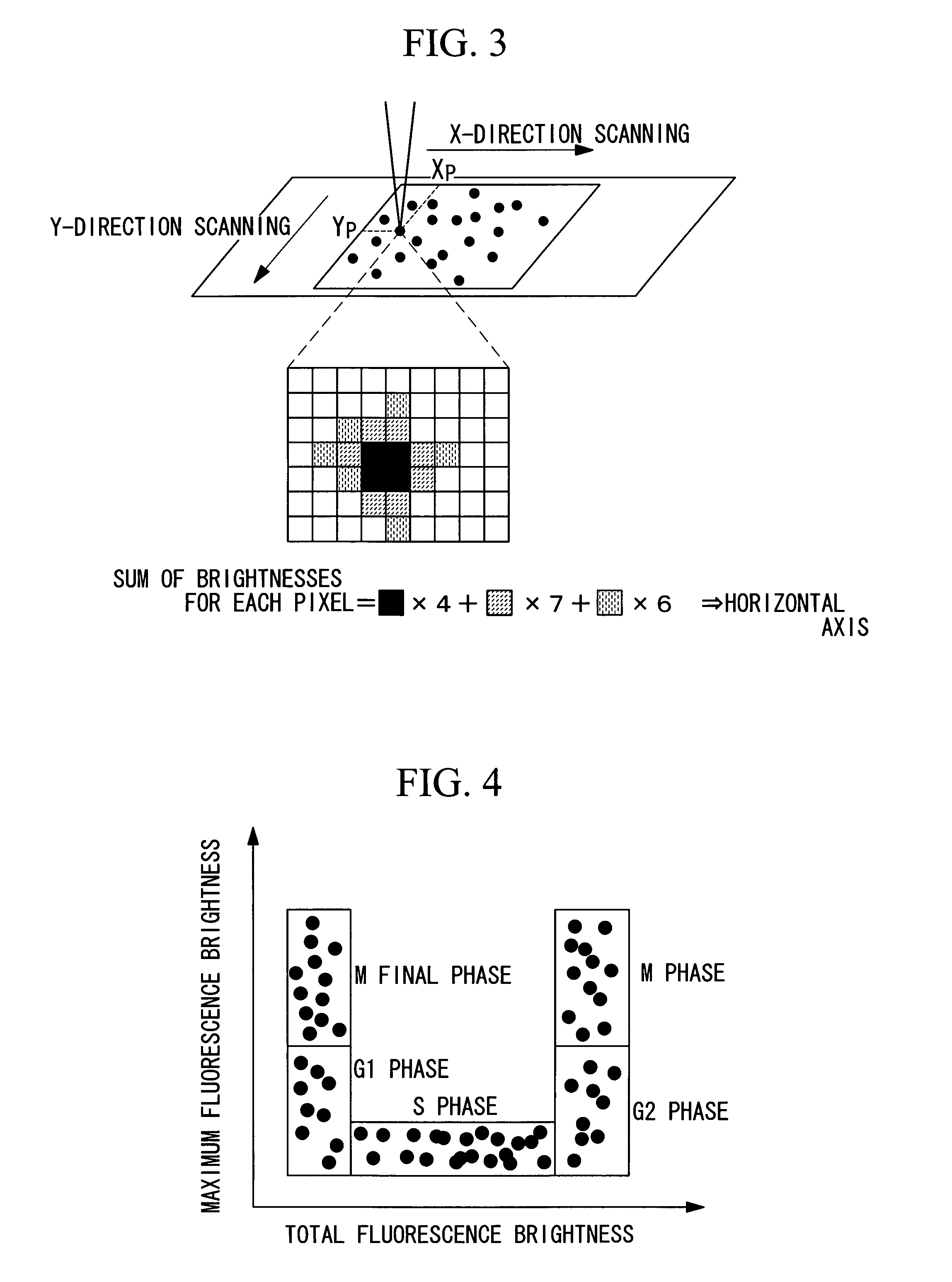 Microscope apparatus and cell observation method