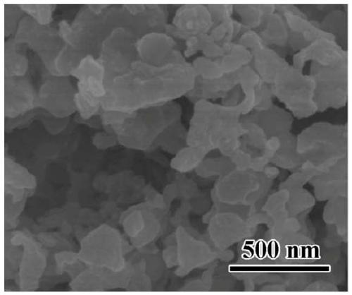 Porous silicon@amorphous carbon/carbon nanotube composite material as well as preparation method and application thereof