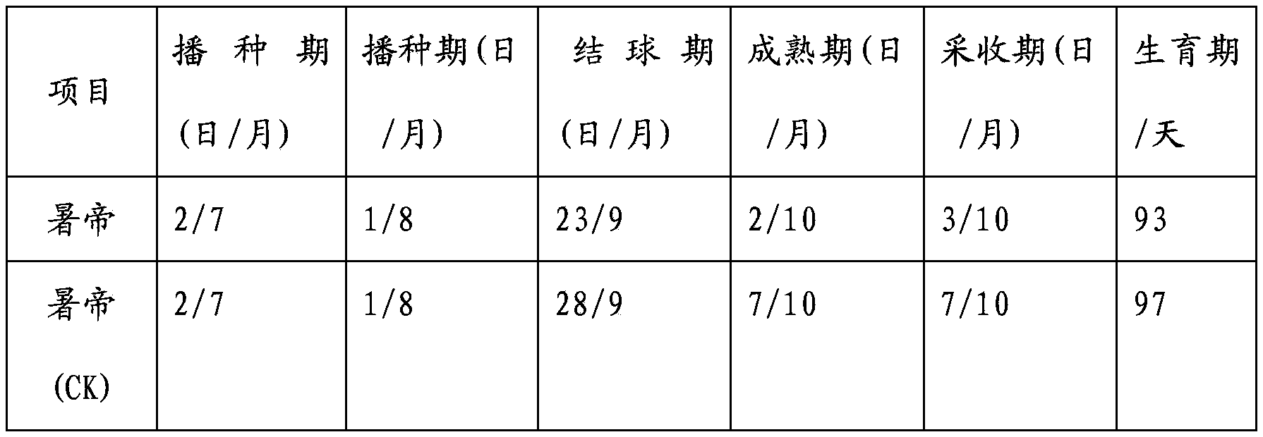 Method of cultivating early-maturing common head cabbage strong seedlings