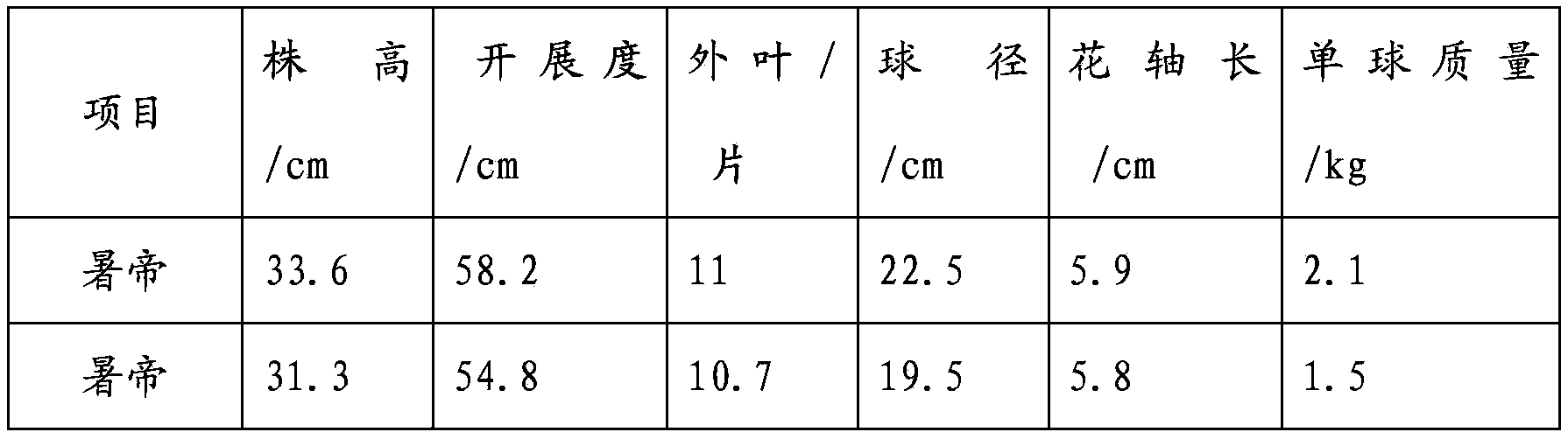 Method of cultivating early-maturing common head cabbage strong seedlings