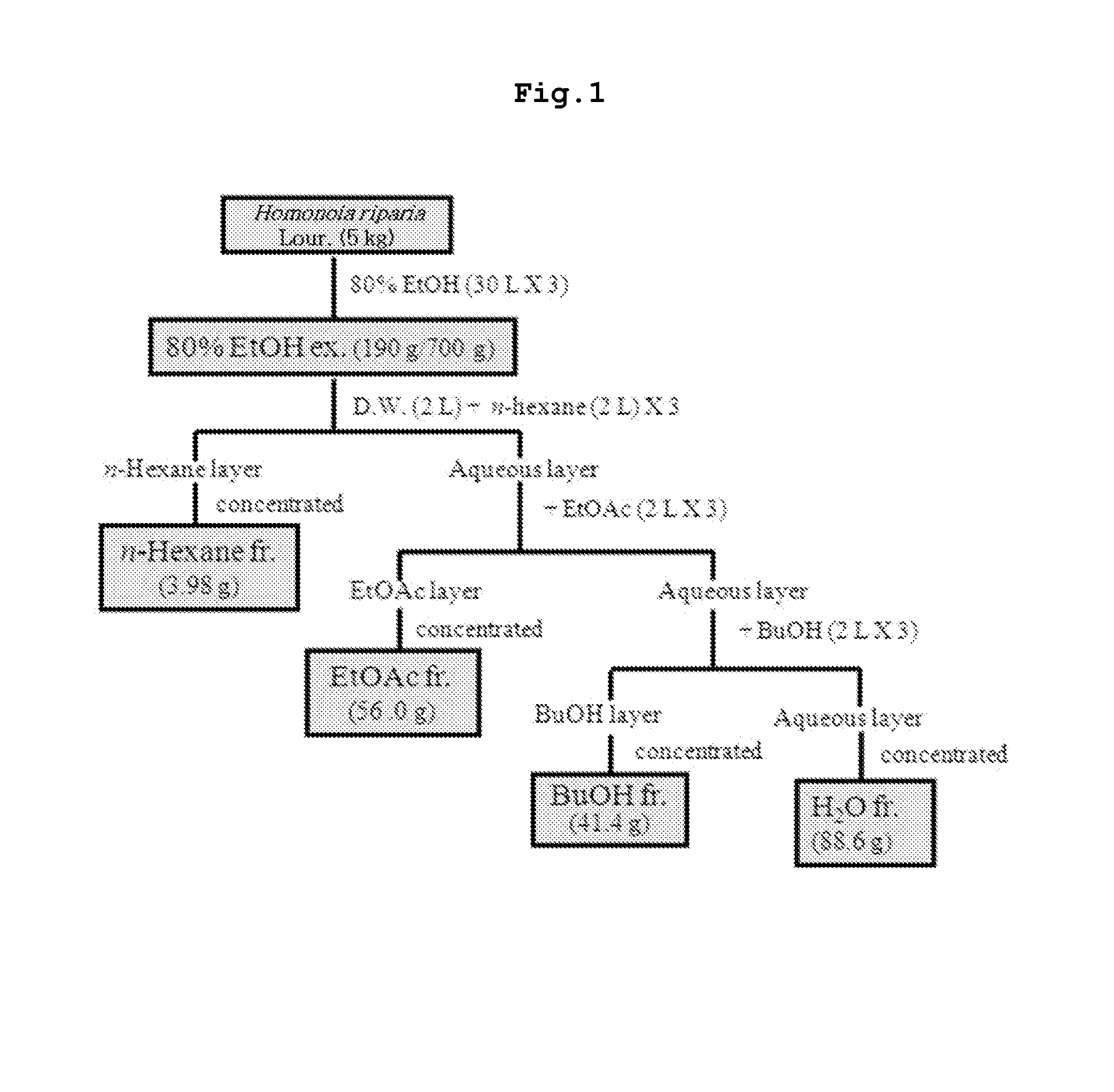 Pharmaceutical composition for preventing and treating complications of  diabetes containing a traditional oriental medicine extract or a fraction thereof as an active ingredient