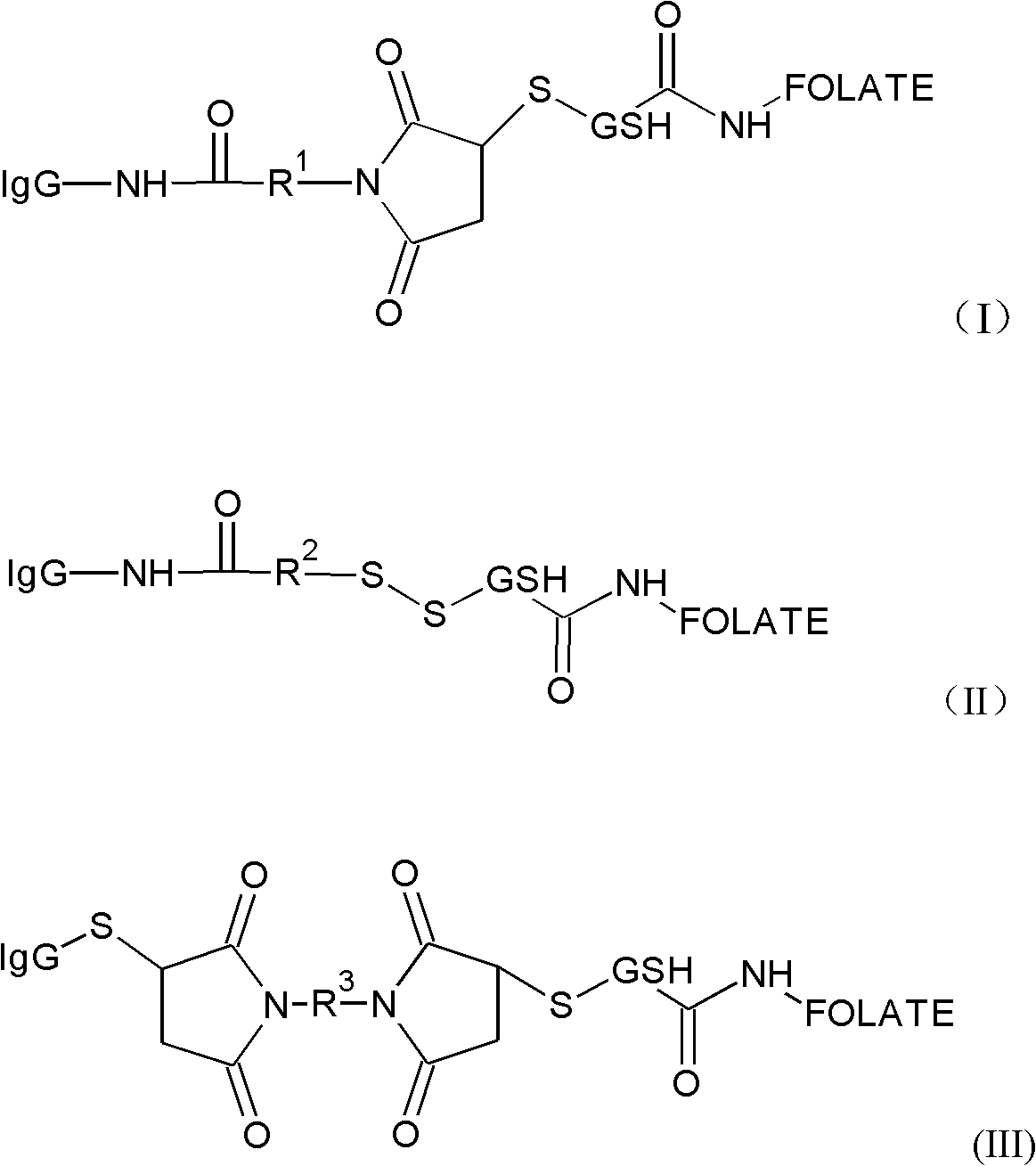 Folate conjugated antibody medicament and preparation method and application thereof