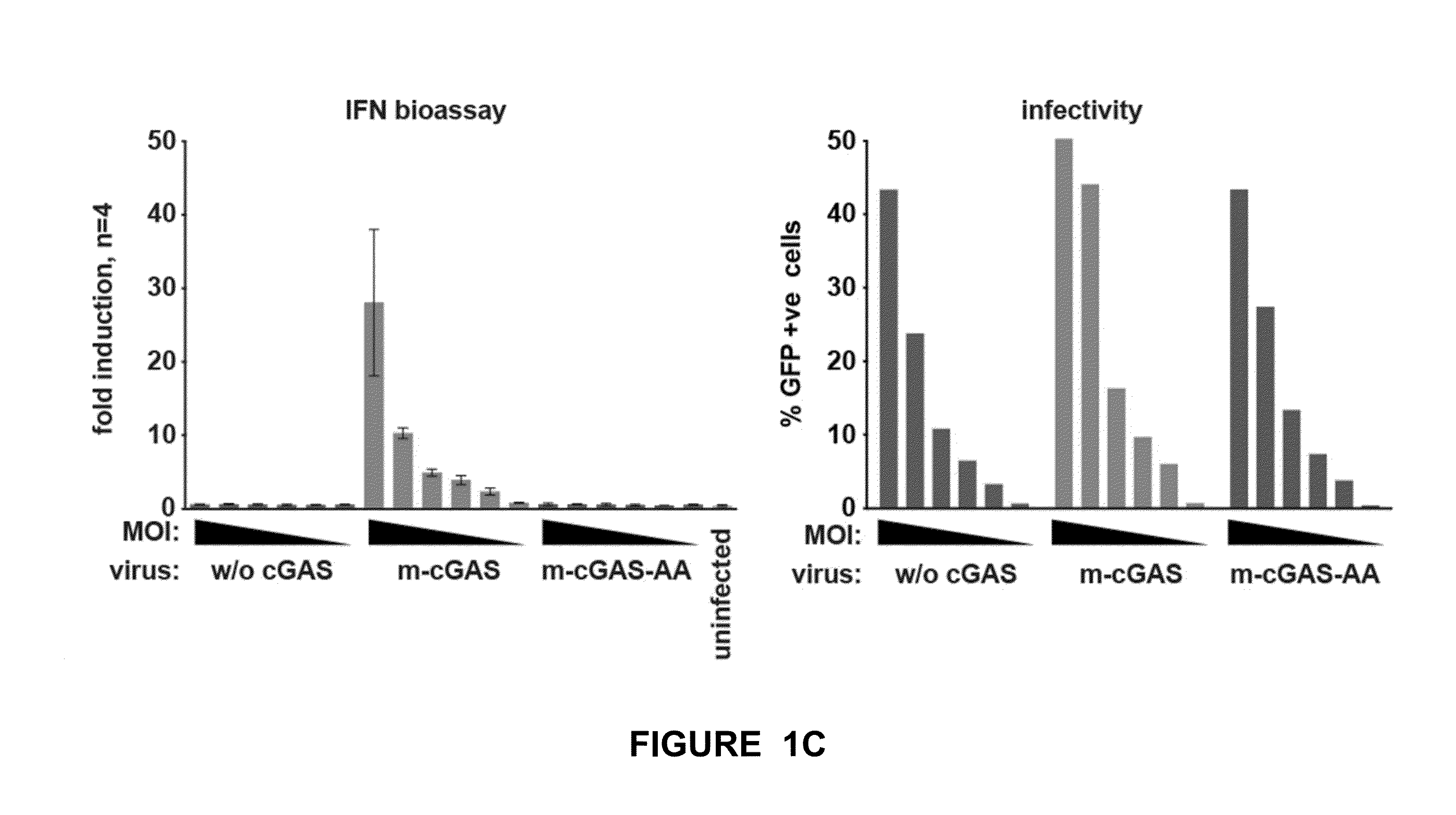 Method for preparing viral particles with cyclic dinucleotide and use of said particles for inducing immune response