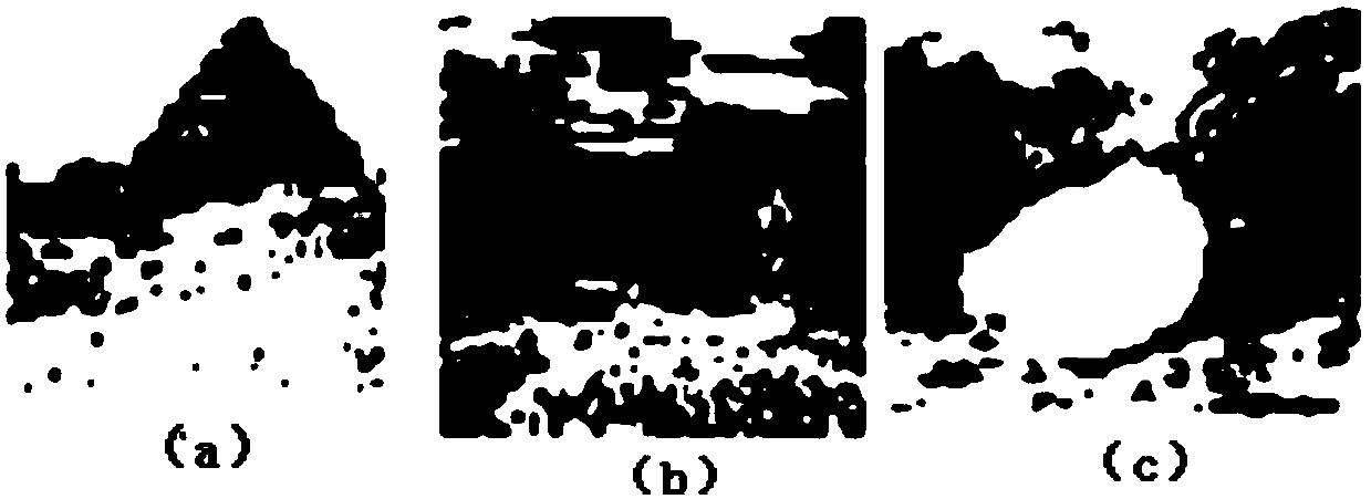 Homomorphic encryption algorithm-based individual image safe retrieving method