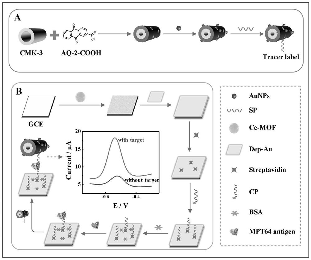 Electrochemical aptamer sensor for detecting mycobacterium tuberculosis MPT64 and detection method thereof