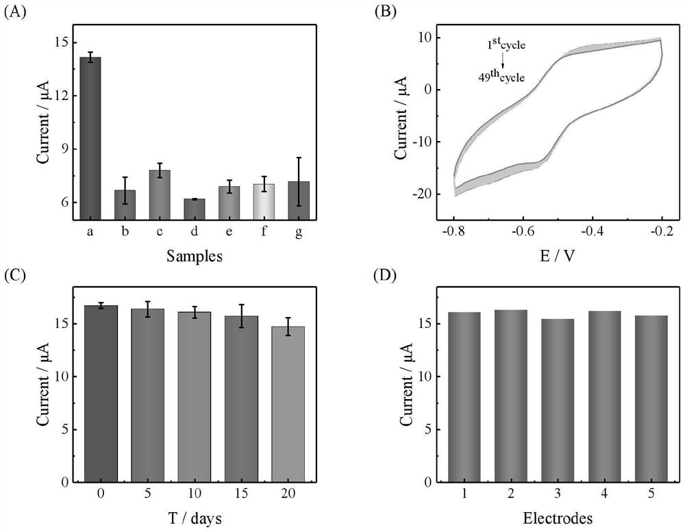 Electrochemical aptamer sensor for detecting mycobacterium tuberculosis MPT64 and detection method thereof