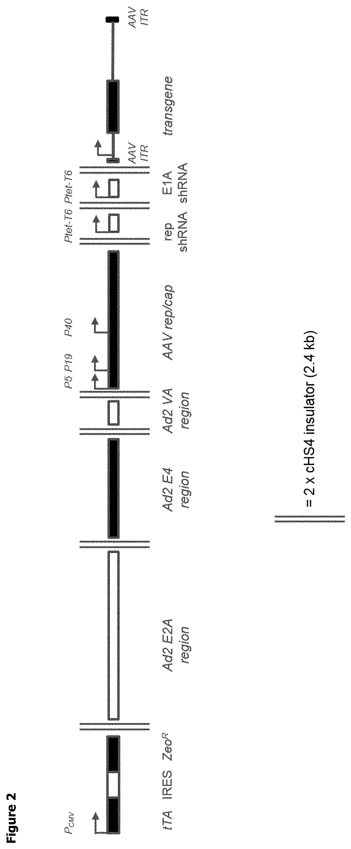 Methods for adeno-associated viral vector production