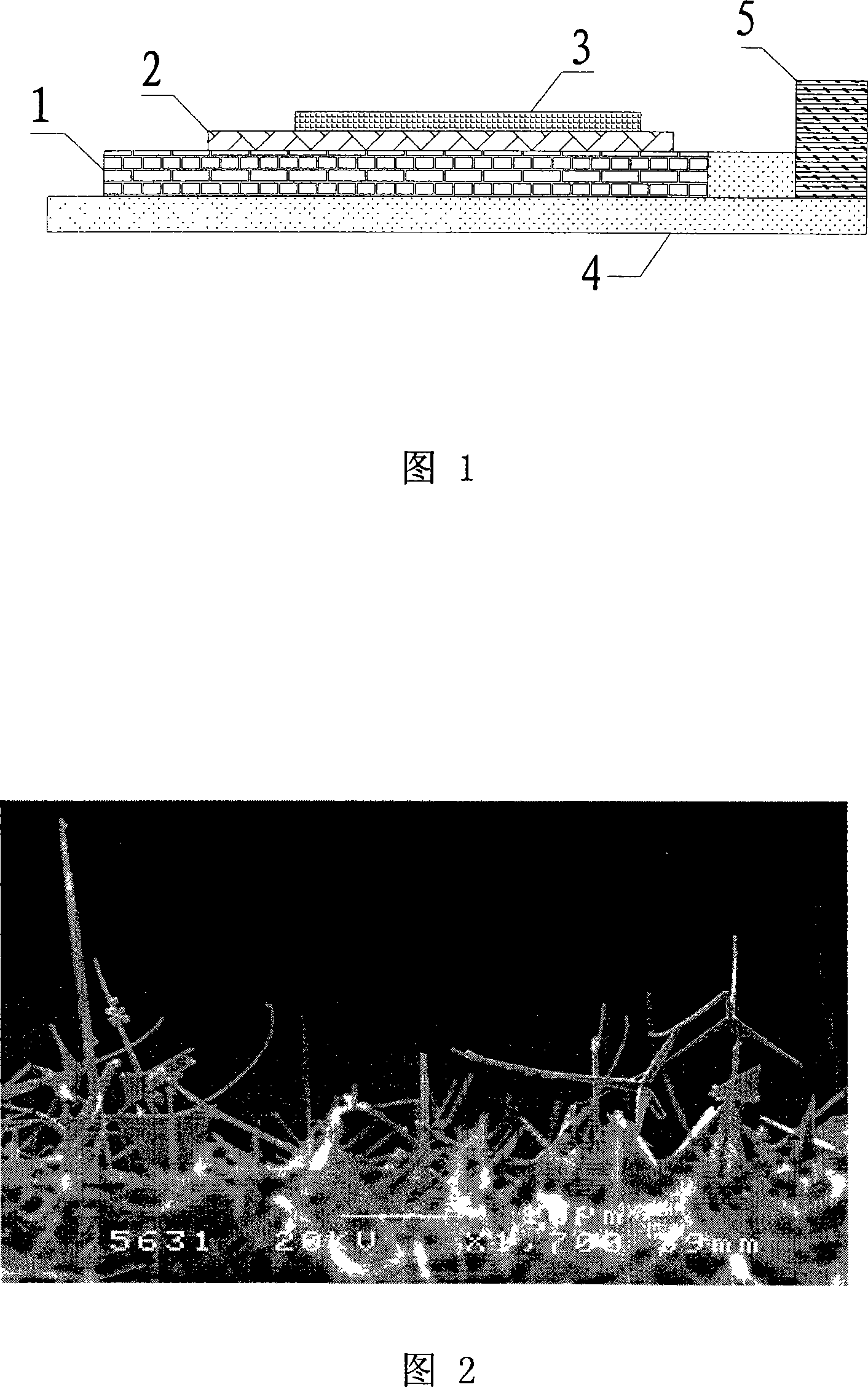 Microwave source cathode and manufacturing method therefor