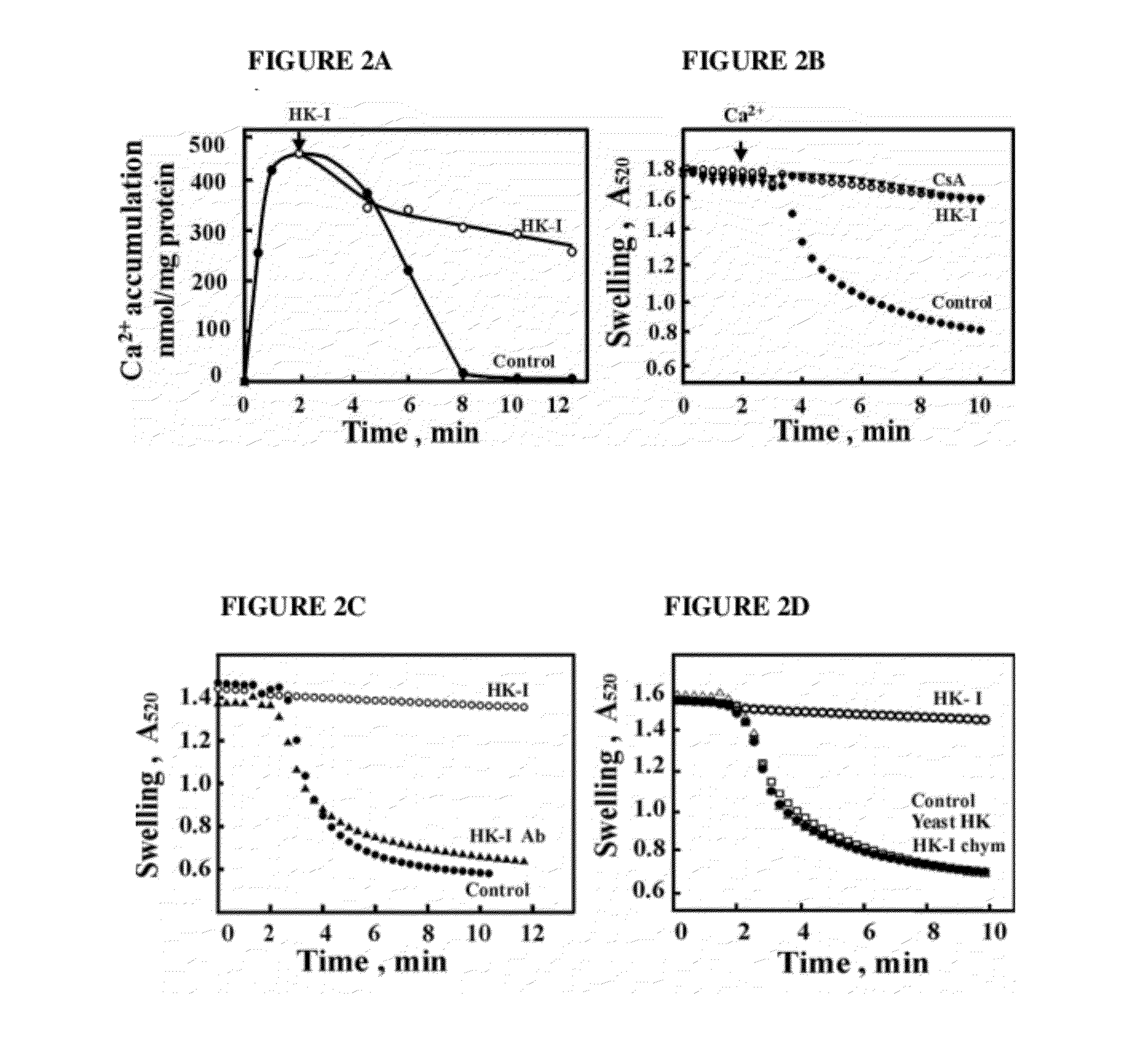 Vdac1 compositions and methods of use thereof for regulating apoptosis