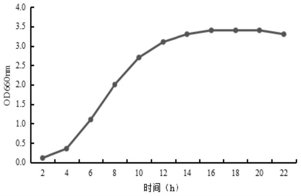 Alcaligenes faecalis GBW-HB1905 for efficiently removing COD (Chemical Oxygen Demand) in aquaculture wastewater and application of alcaligenes faecalis GBW-HB1905