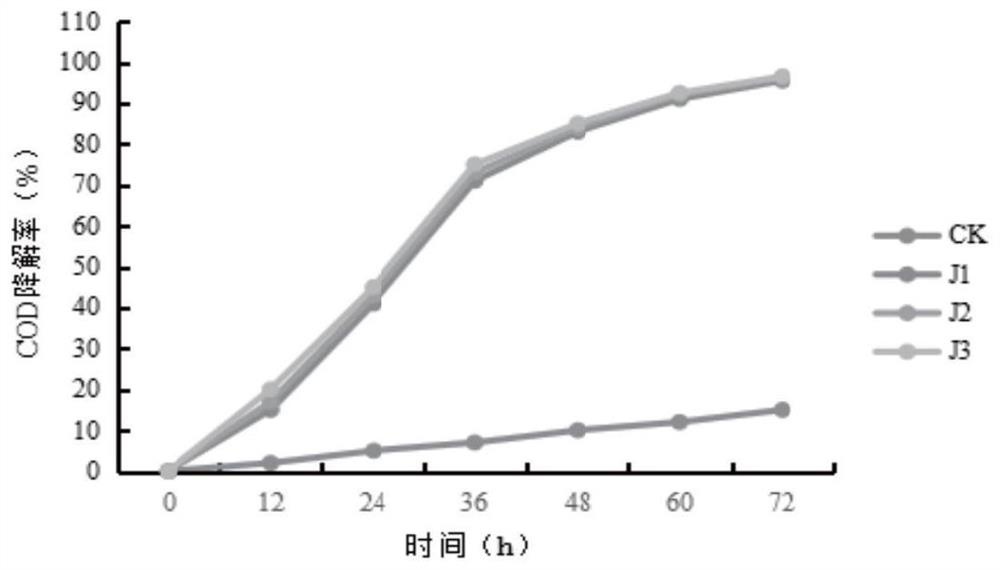 Alcaligenes faecalis GBW-HB1905 for efficiently removing COD (Chemical Oxygen Demand) in aquaculture wastewater and application of alcaligenes faecalis GBW-HB1905