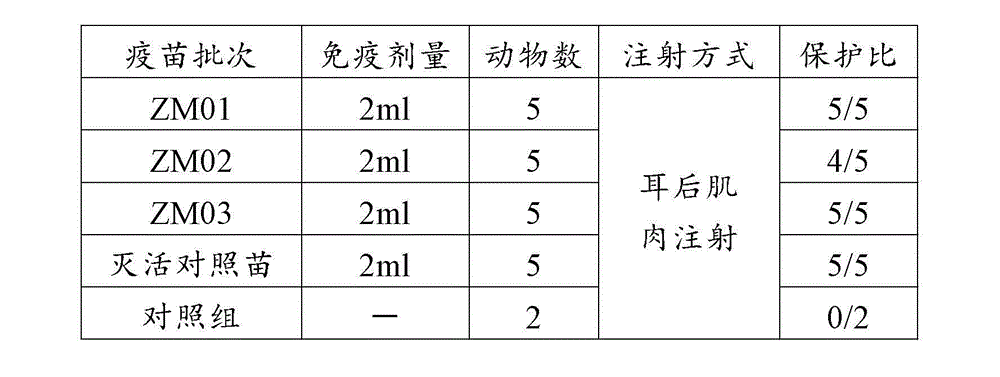 Polypeptide used for preparing O type peptide vaccine of cattle foot-and-mouth disease and preparation methods and applications thereof