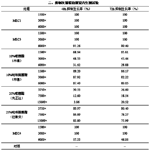 Bactericide composition and application thereof
