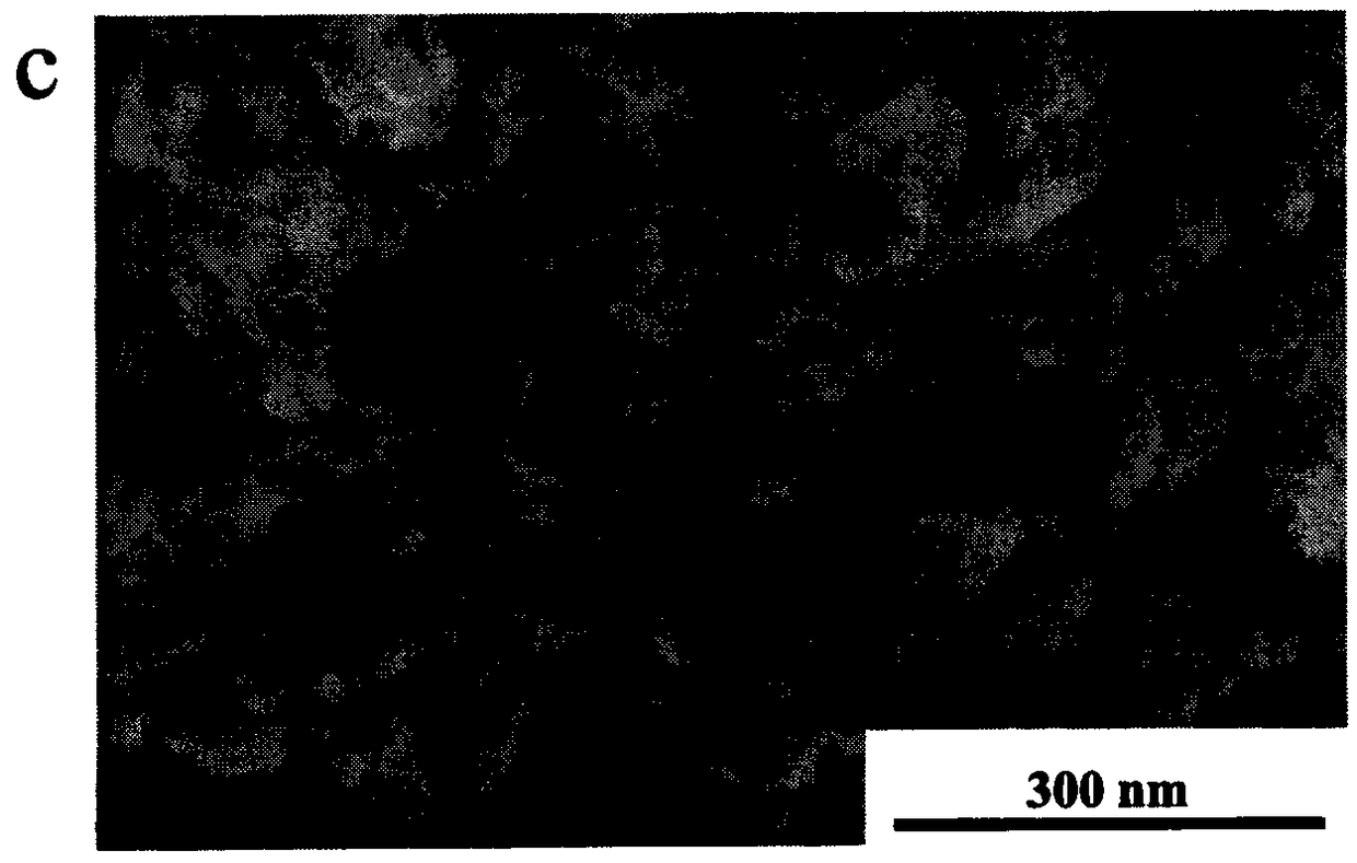 Co-N-C composite material based on Bio-MOF-11 as well as preparation and application thereof