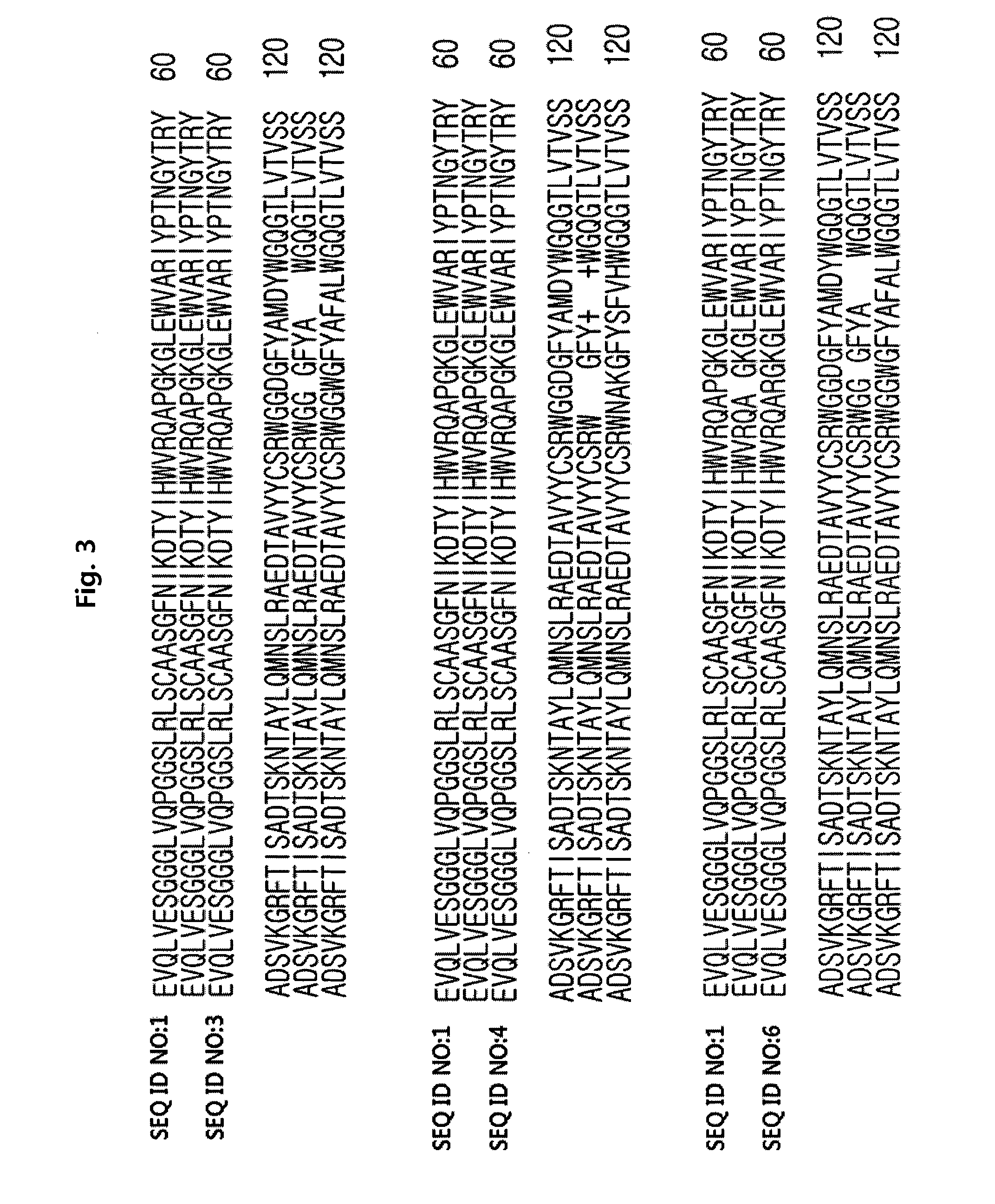 Anti-ErbB2 antibody variants