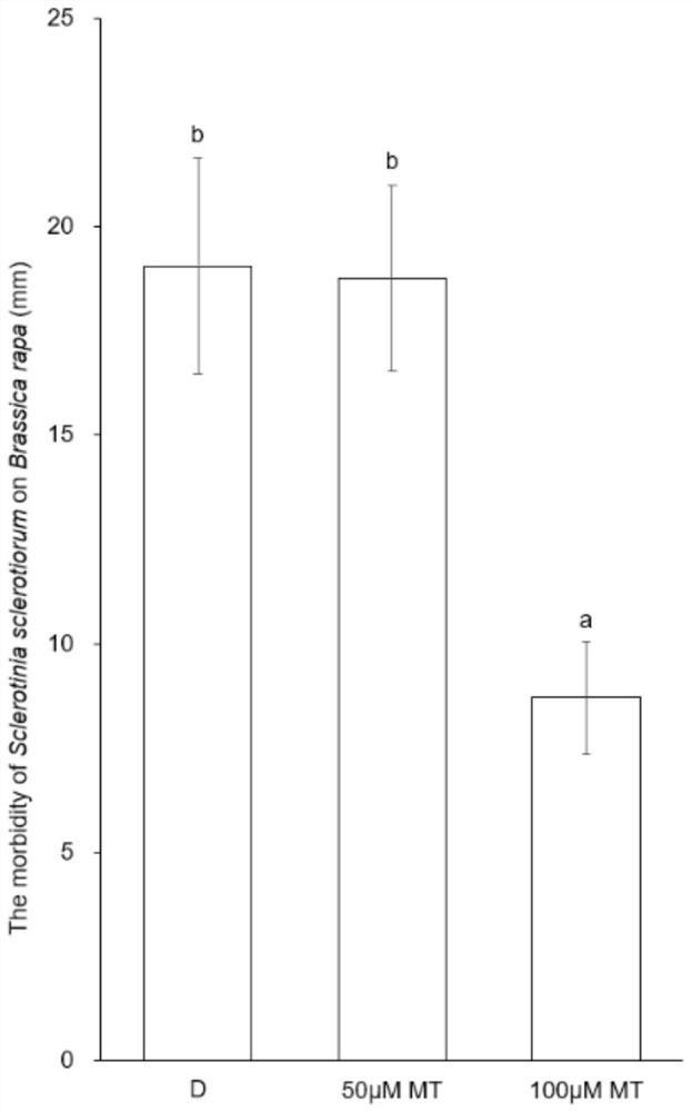 Method for improving sclerotiniose resistance of Chinese cabbages