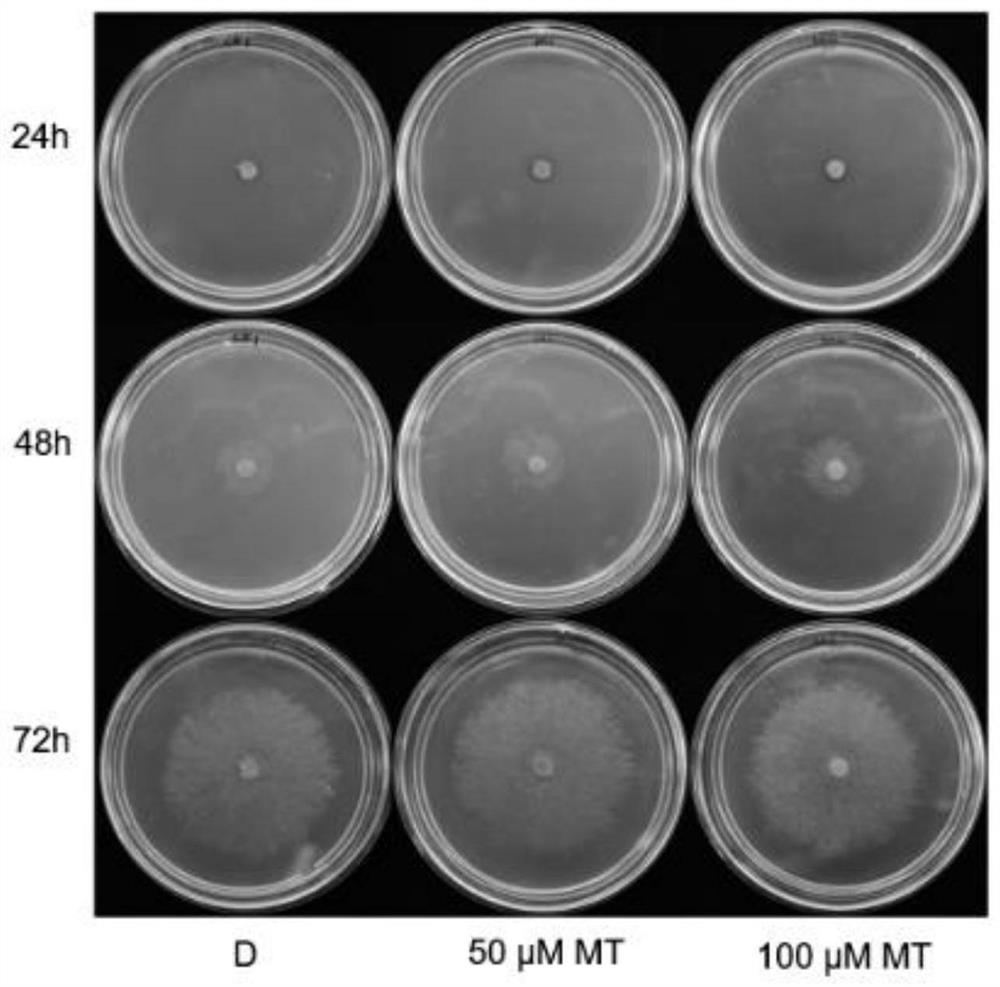 Method for improving sclerotiniose resistance of Chinese cabbages