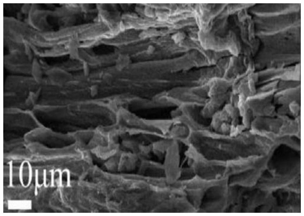 Activated carbon material applied to supercapacitor electrode material