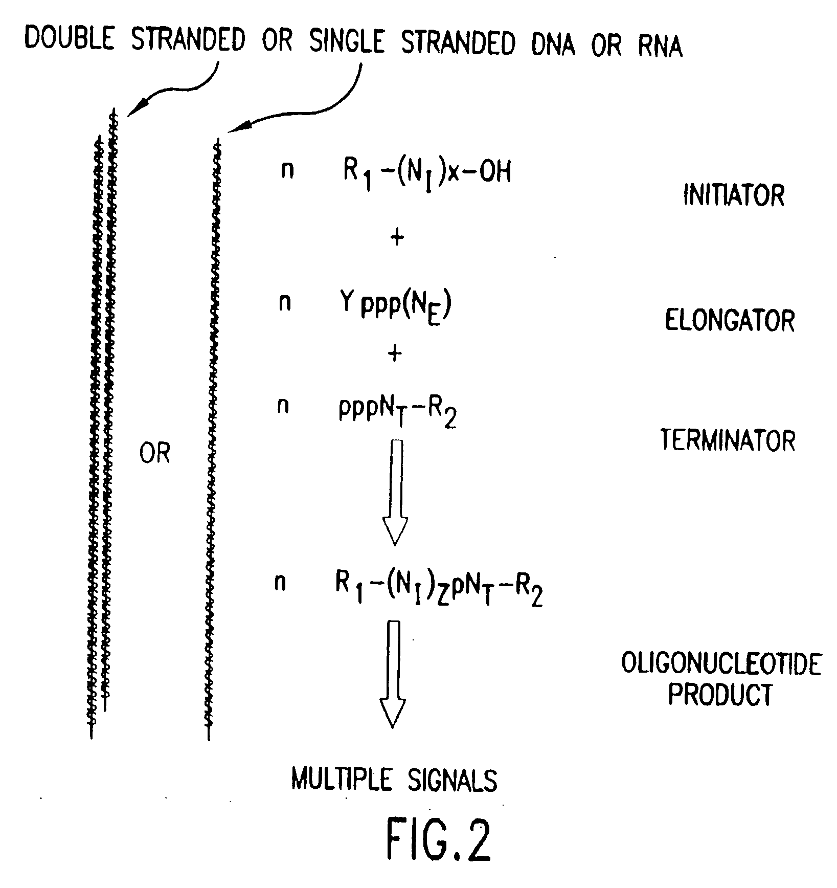 Compositions, methods and detection technologies for reiterative oligonucleotide synthesis