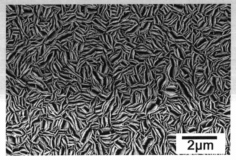 Silver doped titanium dioxide thin film and preparation method thereof